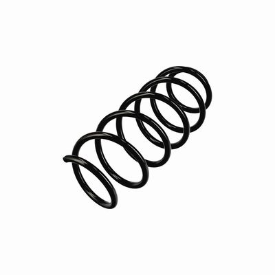 ARC SPIRAL EIBACH R11019 3