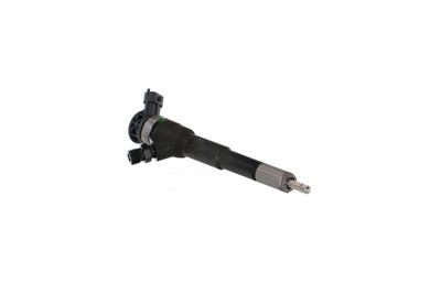 INJECTOR REMANTE 002003001494R 52