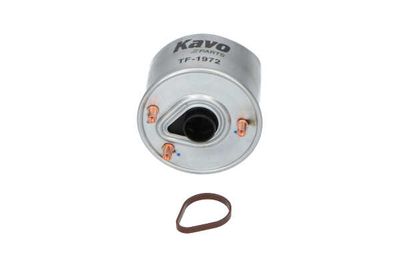 FILTRU COMBUSTIBIL AMC Filter TF1972 25