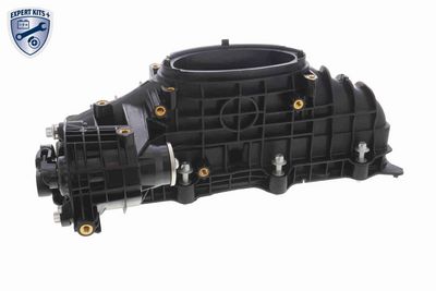 MODUL CONDUCTA ADMISIE VAICO V304212 4