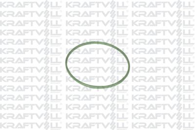 Прокладка, пробка топливного бака KRAFTVOLL GERMANY 10031210 для LANCIA THESIS