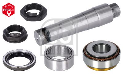 FEBI BILSTEIN Reparatursatz, Achsschenkelbolzen