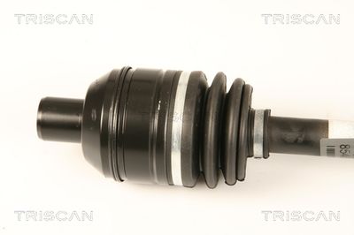 PLANETARA TRISCAN 854024558 1