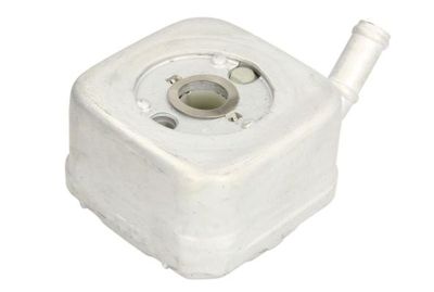 RADIATOR ULEI ULEI MOTOR THERMOTEC D4A024TT 1