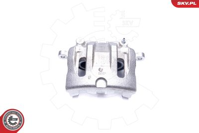 Brake Caliper 44SKV912