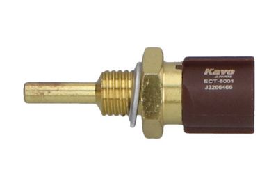 SENZOR TEMPERATURA LICHID DE RACIRE