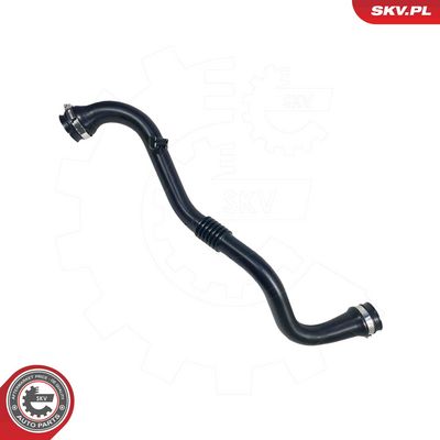 FURTUN EAR SUPRAALIMENTARE