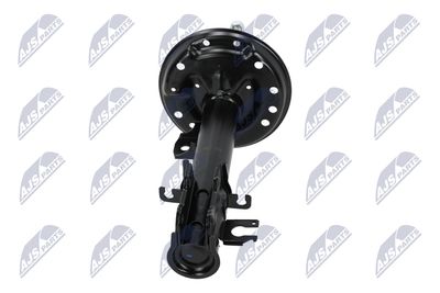 AMORTIZOR NTY ACT033 17