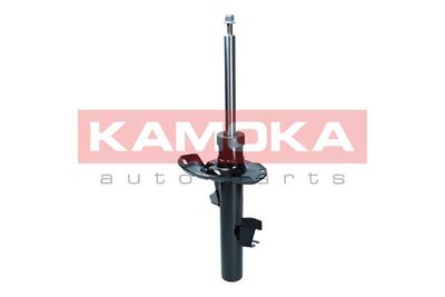 Shock Absorber 2000570