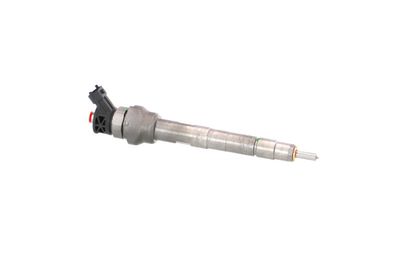 INJECTOR REMANTE 002003002245R 47