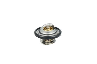 TERMOSTAT LICHID RACIRE NRF 725544 18