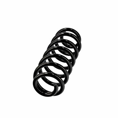 ARC SPIRAL EIBACH R13607 2
