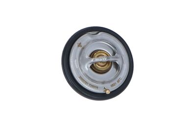 TERMOSTAT LICHID RACIRE NRF 725074 44