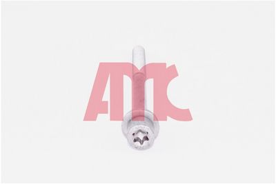 комплект болтове на капака на клап. (на цилиндровата глава) AMC 258045