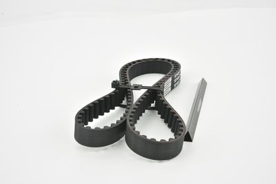 CUREA DE DISTRIBUTIE FEBEST 10140F14S3 41