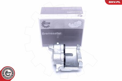 Brake Caliper 44SKV231