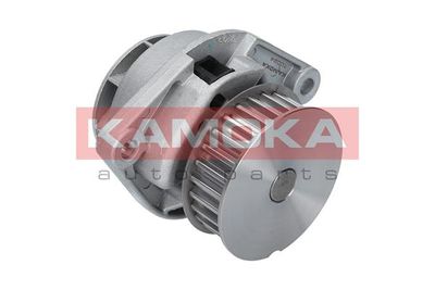 Water Pump, engine cooling T0024