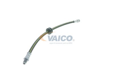 FURTUN FRANA VAICO V240954 42