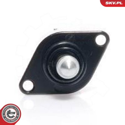 Tuščiosios eigos valdymo vožtuvas, oro tiekimas