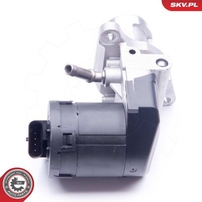 SUPAPA EGR ESEN SKV 14SKV169 4