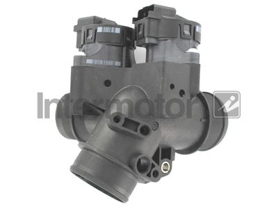 Throttle Body Intermotor 68374