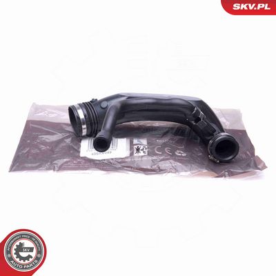 FURTUN EAR SUPRAALIMENTARE