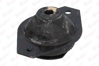 SUPORT MOTOR BIRTH 5338 11