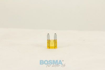 Kaitse BOSMA 1983