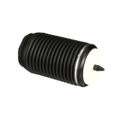 LUFTFEDER FAHRWERK Arnott A3295 30