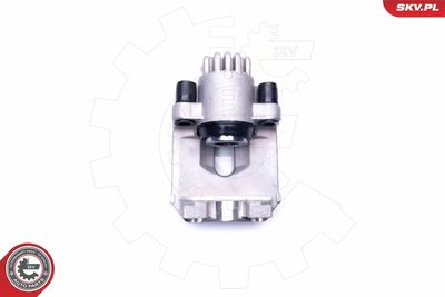 Brake Caliper 44SKV663