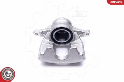 Brake Caliper 46SKV961