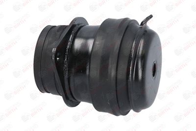 SUPORT MOTOR BIRTH 5476 6