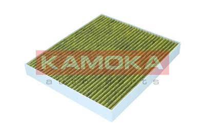 Filter, cabin air 6080138