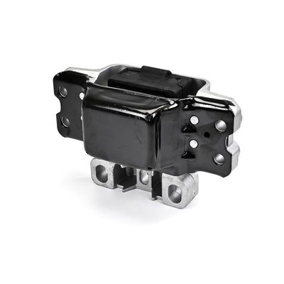 SUPORT MOTOR DELPHI TEM247 15