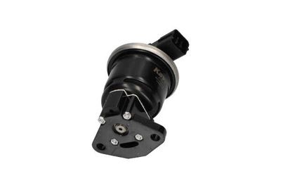 SUPAPA EGR Kavo Parts EEG2006 23