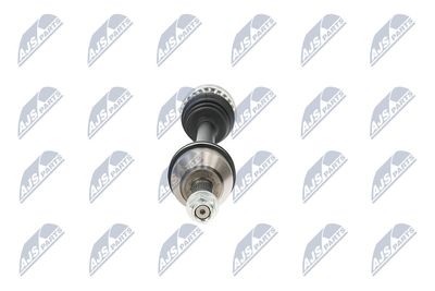 PLANETARA NTY NPWPL161 17