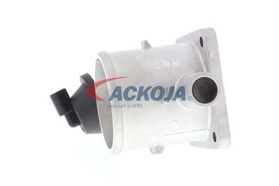 CARCASA CLAPETA ACKOJA A53810009 23