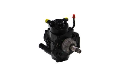 POMPA DE INALTA PRESIUNE REMANTE 002002000450R 51