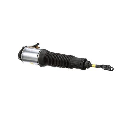 LUFTFEDERBEIN Arnott AS2562 18