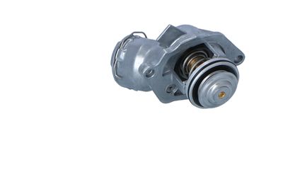 TERMOSTAT LICHID RACIRE NRF 725032 24