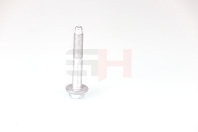 SURUB CAPAT DE AX GH GH392528 45