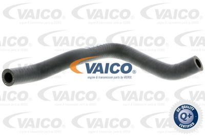 Шланг, вентиляция картера VAICO V10-4649 для VW PASSAT