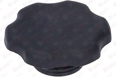 BUSON UMPLERE ULEI BIRTH 8813 10