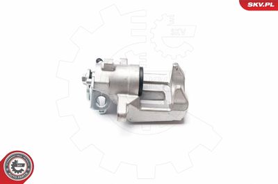 Brake Caliper 23SKV343