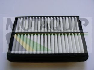 FILTRU AER MOTAQUIP VFA1171 1