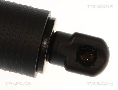 Plynárenská vzpera (pneumatická pružina), zavazadlový priestor TRISCAN 8710 14301
