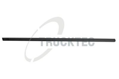 ELEMENTE DECORATIVE/PROTECTIE PORTIERA