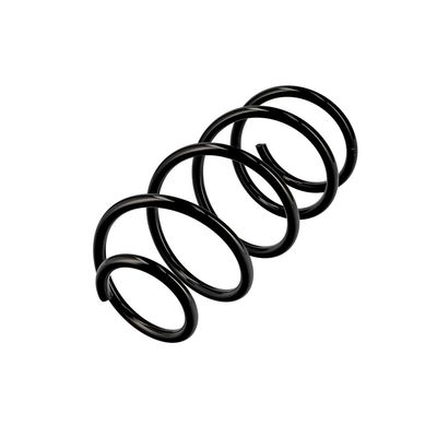 ARC SPIRAL EIBACH R10489 3