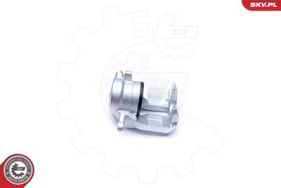 Brake Caliper 42SKV351