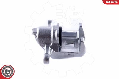 Brake Caliper 55SKV083